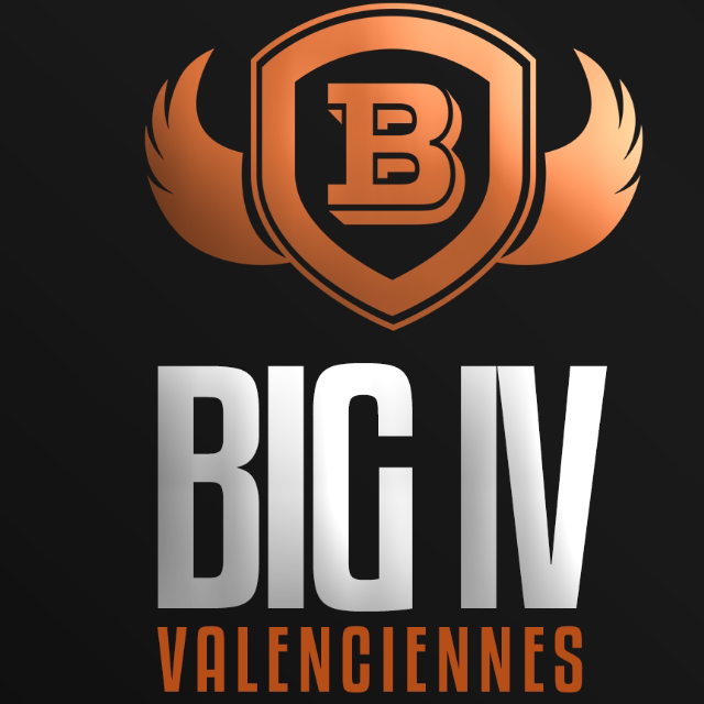 logo-big-4-valentienne