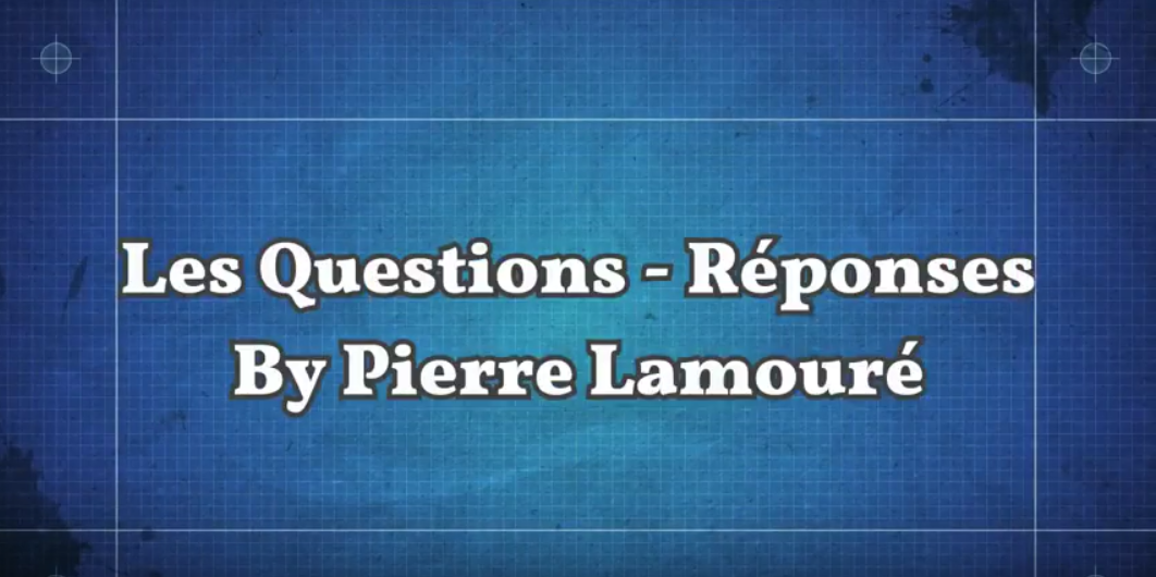 Questions / Réponses by Pierre Lamouré