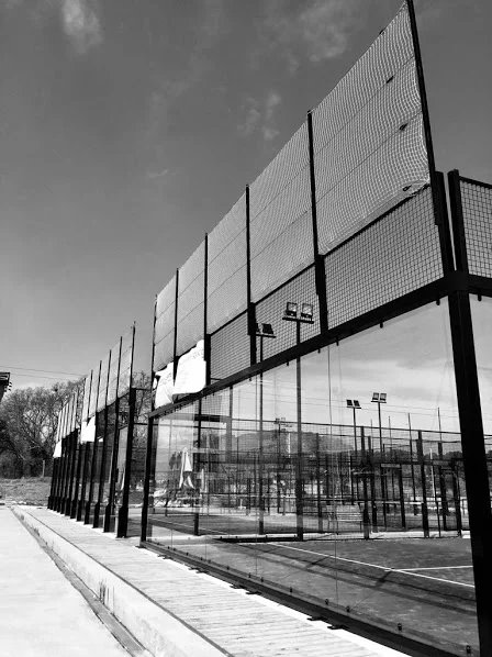 Les formes d’engagement dans le sport