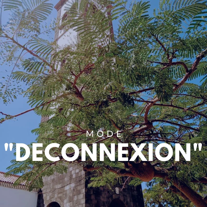 padel tenerife la toupie bleue