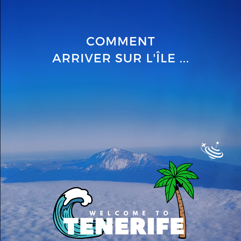 WPWT Teneriffa Toupie Blea Kontakt