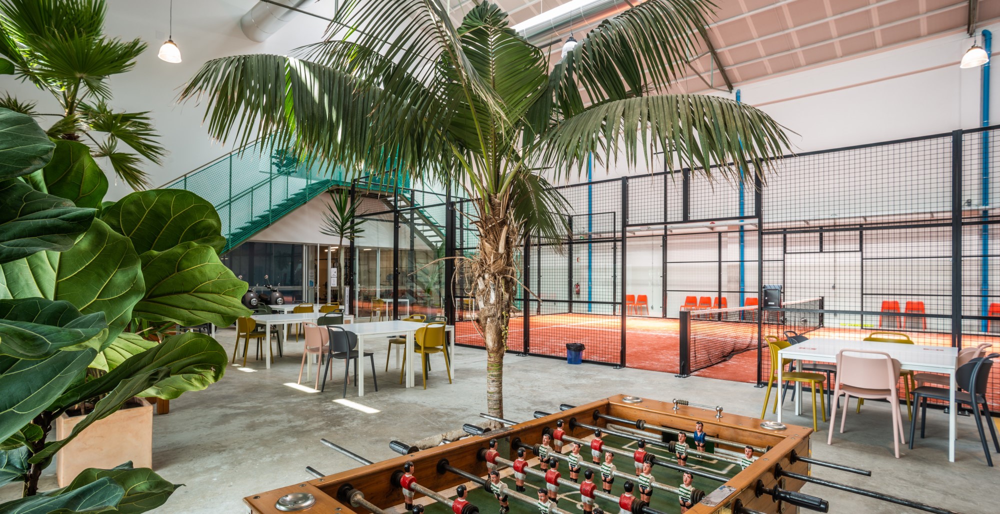 Portugal: a land of padel in the office !