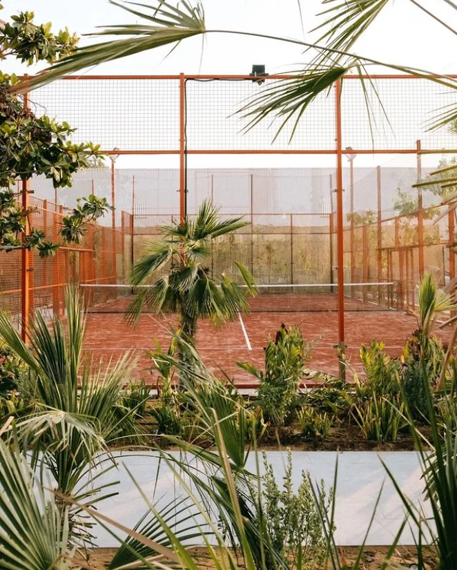 Matcha Club Dubaï végétation