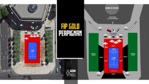 fip gold perpignan plan