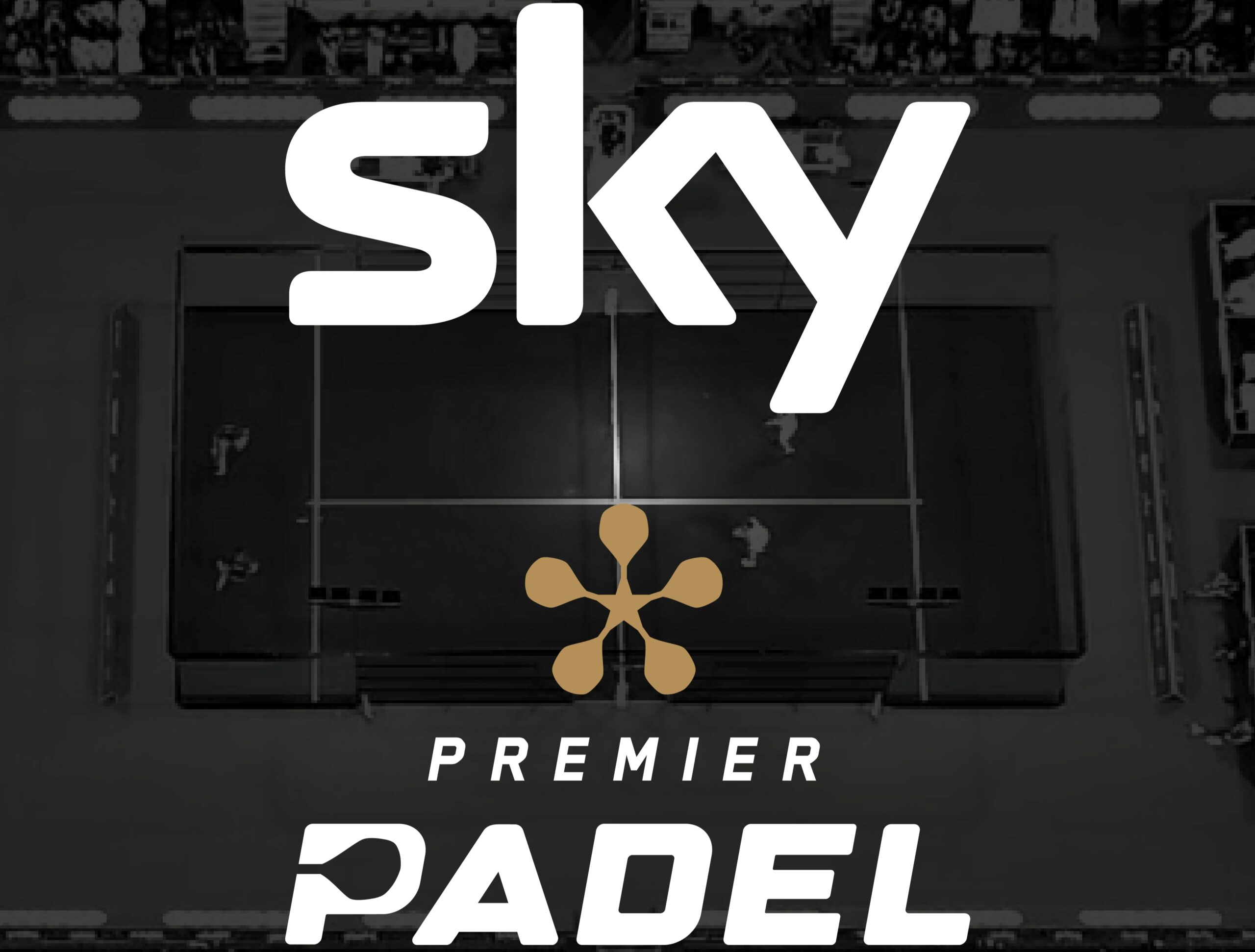 Sky Logo Inlägg