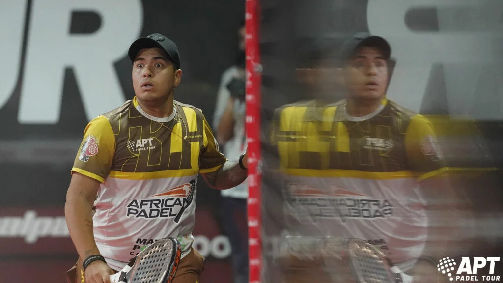 tolito-regard-saltillo