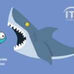 Padel tennis requins FIP ITF