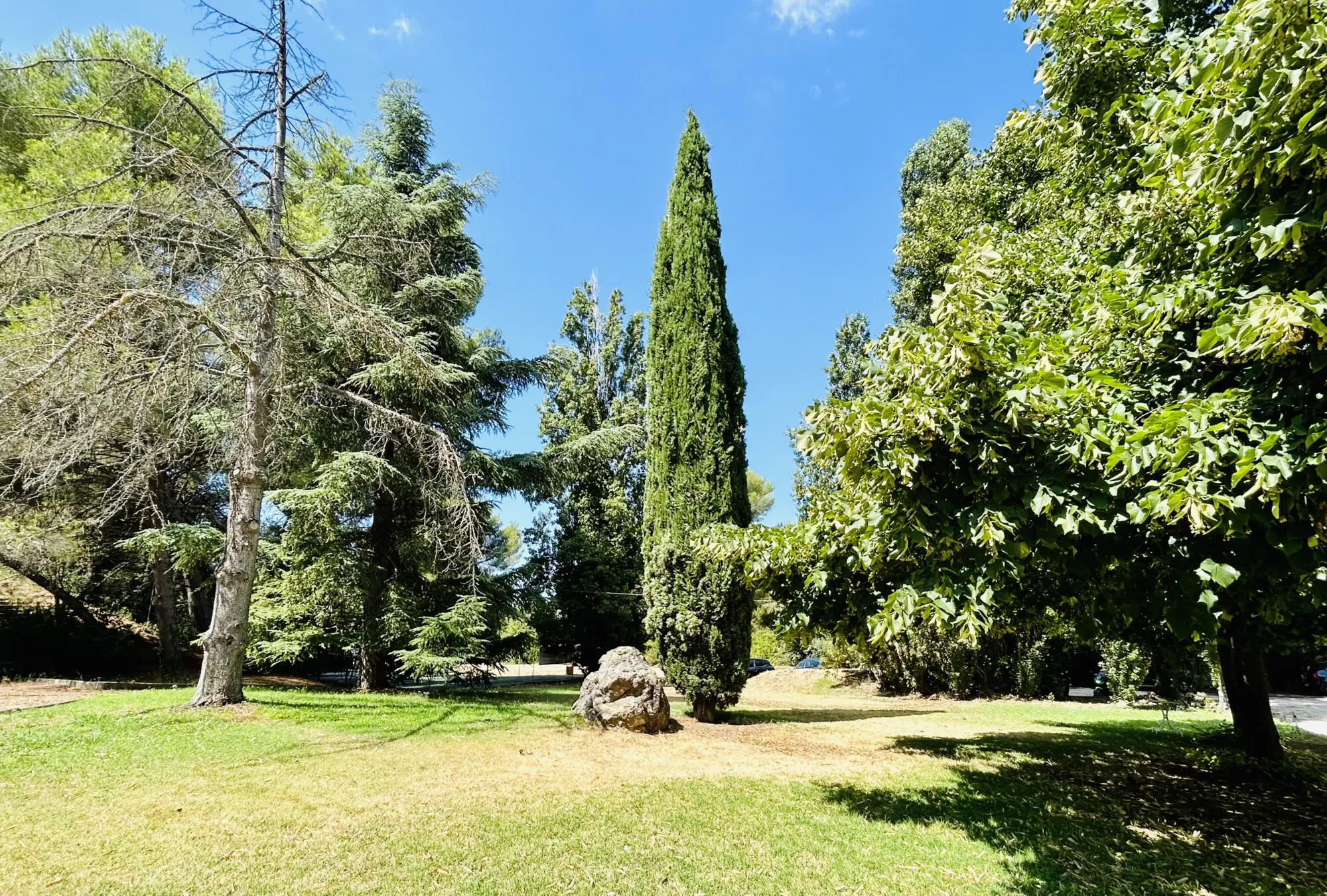 LB13-parc-arbore | Padel Magazine