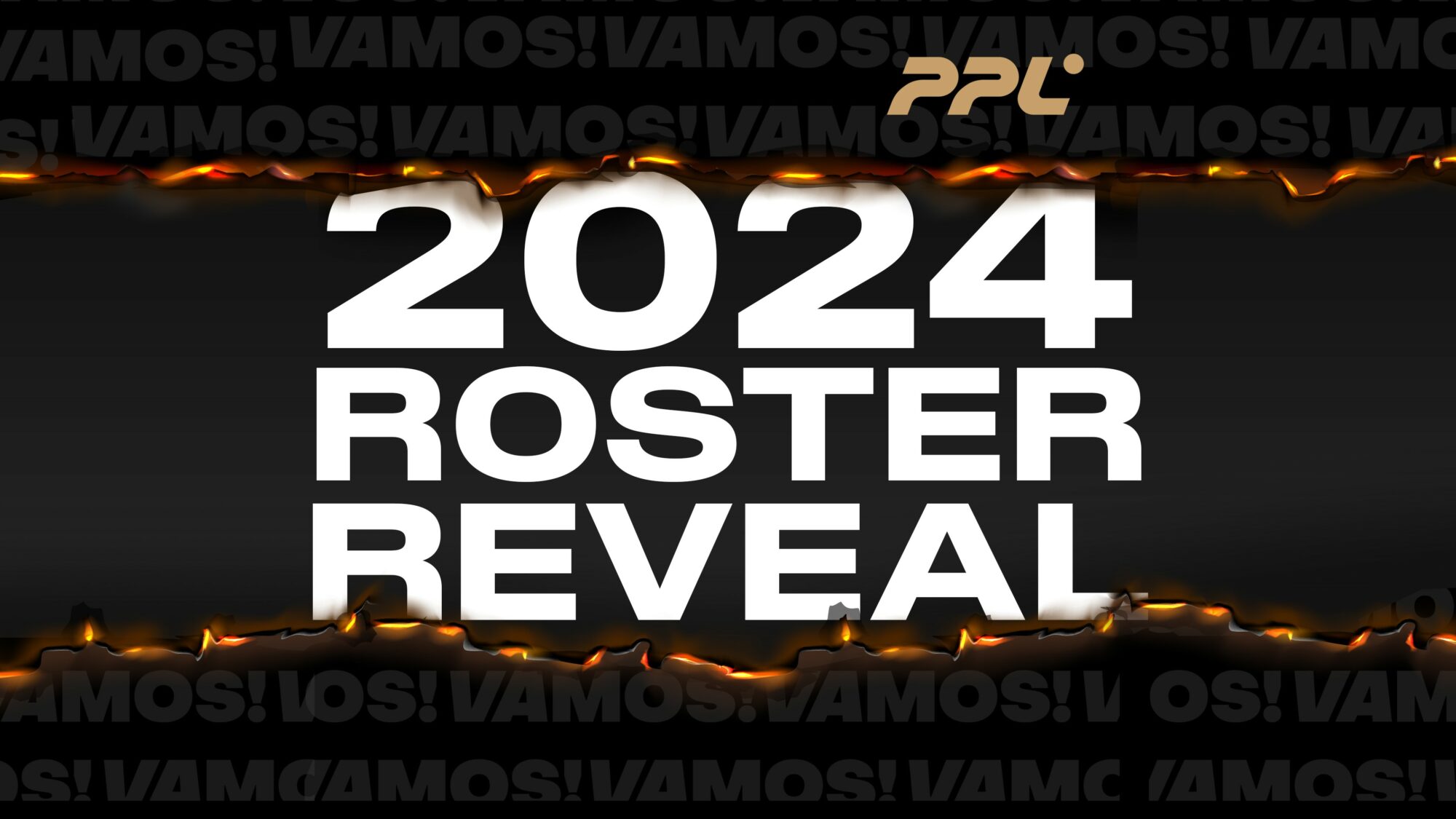 Pro Padel リーグ 2024: チームを発見する