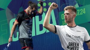 vives seurin fip promotion chiba