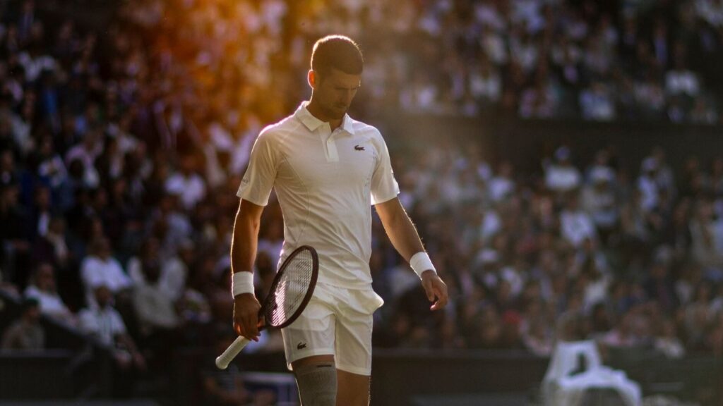 Nole djokovic padel tennis pickleball