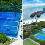 terrain padel maldives