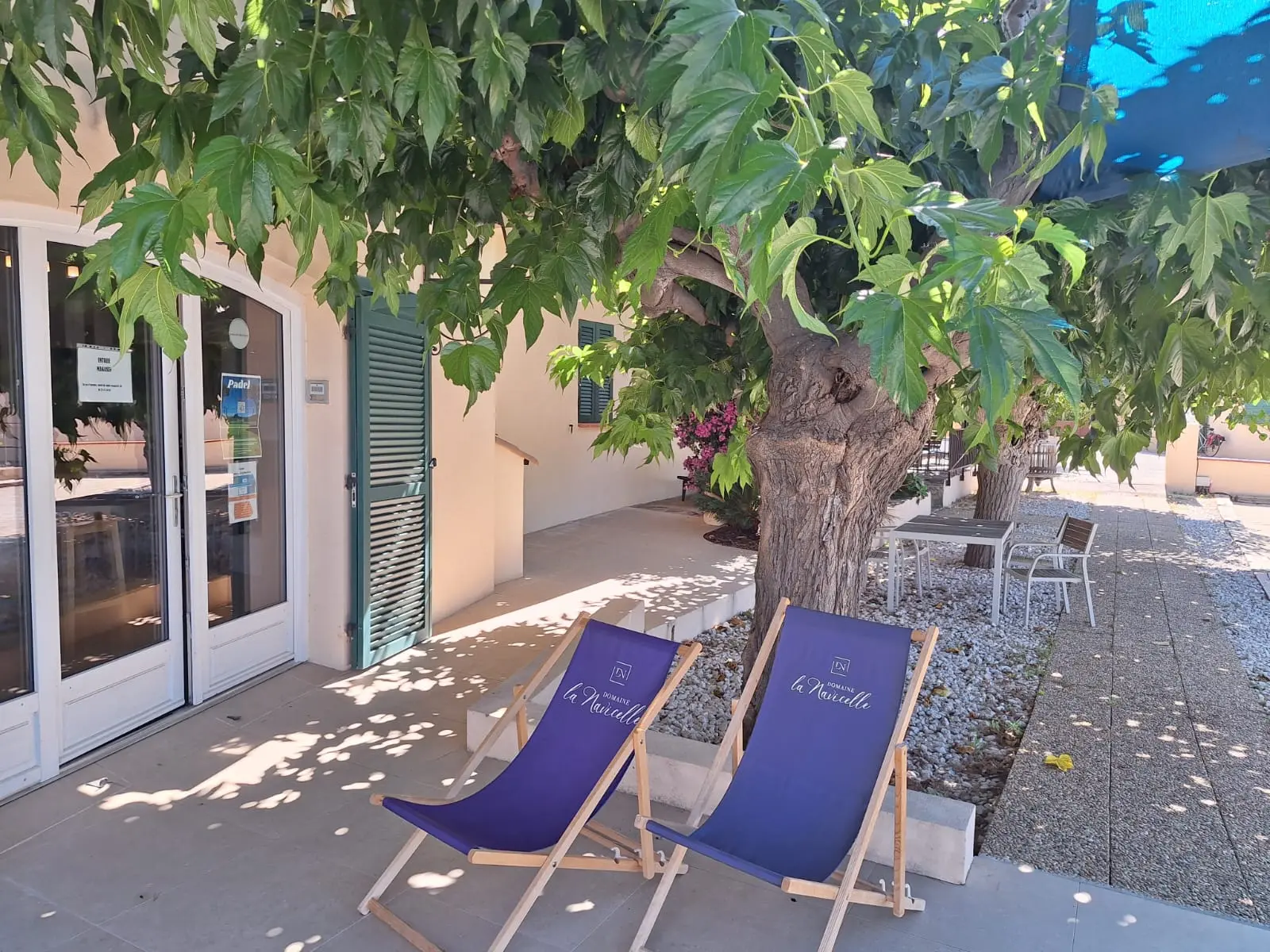 Padel et pinard : au Domaine de la Navicelle, on tape dans la balle… entre deux dégustations