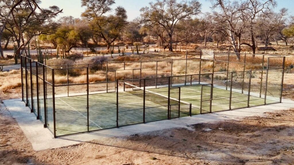 Quand le padel rencontre la savane : un court en Namibie qui devient le paradis des girafes ! | Padel Magazine Quand le padel rencontre la savane : un court en Namibie qui devient le paradis des girafes !