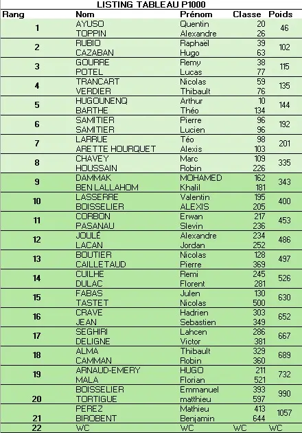 Listes des joueurs P100 Cèdres Castres | Padel Magazine Listes des joueurs P100 Cèdres Castres