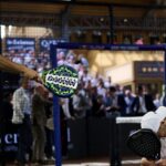 Lebron / Augsburger, une victoire forte à Bruxelles... mais révélatrice des absences ponctuelles de Tapia / Coello