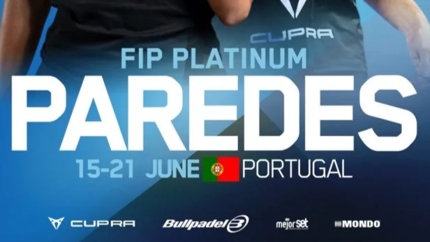 fip platinum paredes