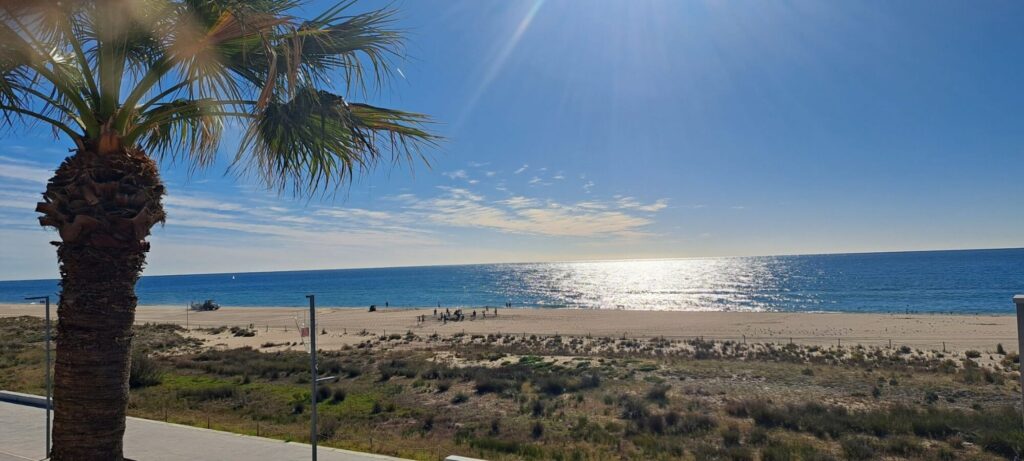 Sunny beach scene with a large palm tree in the foreground, sandy shore, and calm blue sea under a clear sky with sun glare.