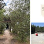 Padel La Calade : un ancien club de tennis transformé en complexe de 8 pistes aux portes de Montpellier | Padel Magazine Padel La Calade : un ancien club de tennis transformé en complexe de 8 pistes aux portes de Montpellier