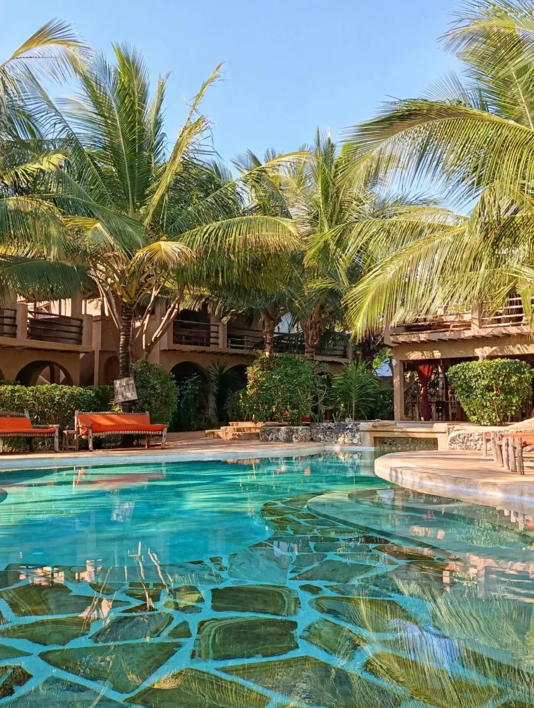 Zanzibar Padel : jouer au padel à 400 mètres des plages de l’océan Indien | Padel Magazine Zanzibar Padel : jouer au padel à 400 mètres des plages de l’océan Indien