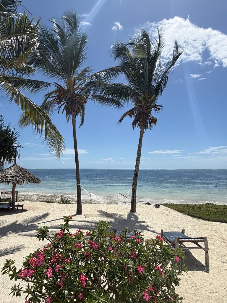 Zanzibar Padel : giocare a padel a 400 metri dalle spiagge dell'Oceano Indiano | Padel Magazine Zanzibar Padel : giocare a padel a 400 metri dalle spiagge dell'Oceano Indiano